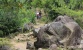 Di Tanah Cianjur Ada Tempat Wisata Peninggalan Prabu Siliwangi Layak tuk Dinikmati